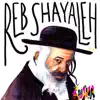 Reb Shayaleh - Single album lyrics, reviews, download