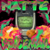Natte Visstick - Natte Voicemail artwork