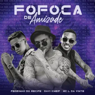 Fofoca de Amizade - Single by Davi Kneip, Pedrinho do Recife & MC L da Vinte album reviews, ratings, credits