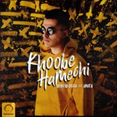 Khoobe Hamechi (feat. Anita) artwork