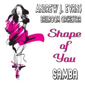 Shape of You (Samba) artwork