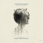 A Pocket of Wind Resistance artwork