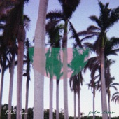 Photo Ops - Palm Trees