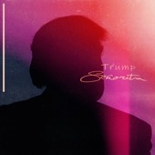 Trump - Señorita artwork