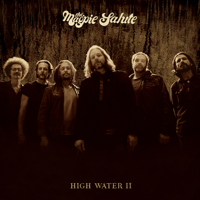 The Magpie Salute - High Water II artwork