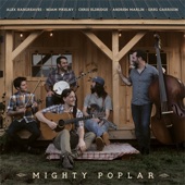 Mighty Poplar - Up on the Divide
