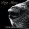 Smart Dog - Dog Music, Dog Music Dreams & Dog Music Therapy lyrics