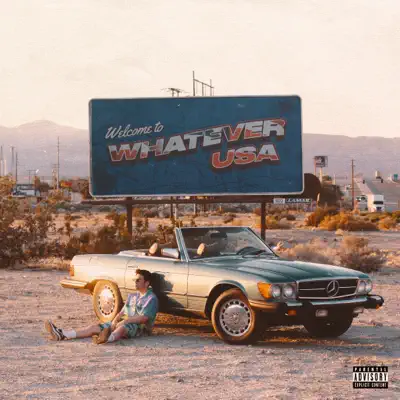 Whatever USA - Hoodie Allen