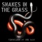 Snakes in the Grass (feat. BMK Baby) - Tinywiings lyrics