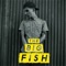 16 - Skone lyrics