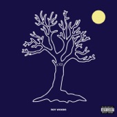 Drama (feat. Drake) by Roy Woods