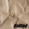 Bullied - Jay Bordeaux lyrics