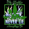 Never Lie (feat. Moneybagg Yo) - Single