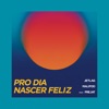 Pro Dia Nascer Feliz - Single