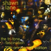 The Tri-Tone Fascination (20th Anniversary Edition) artwork