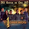 20 Éxitos de Oro 20, 2019