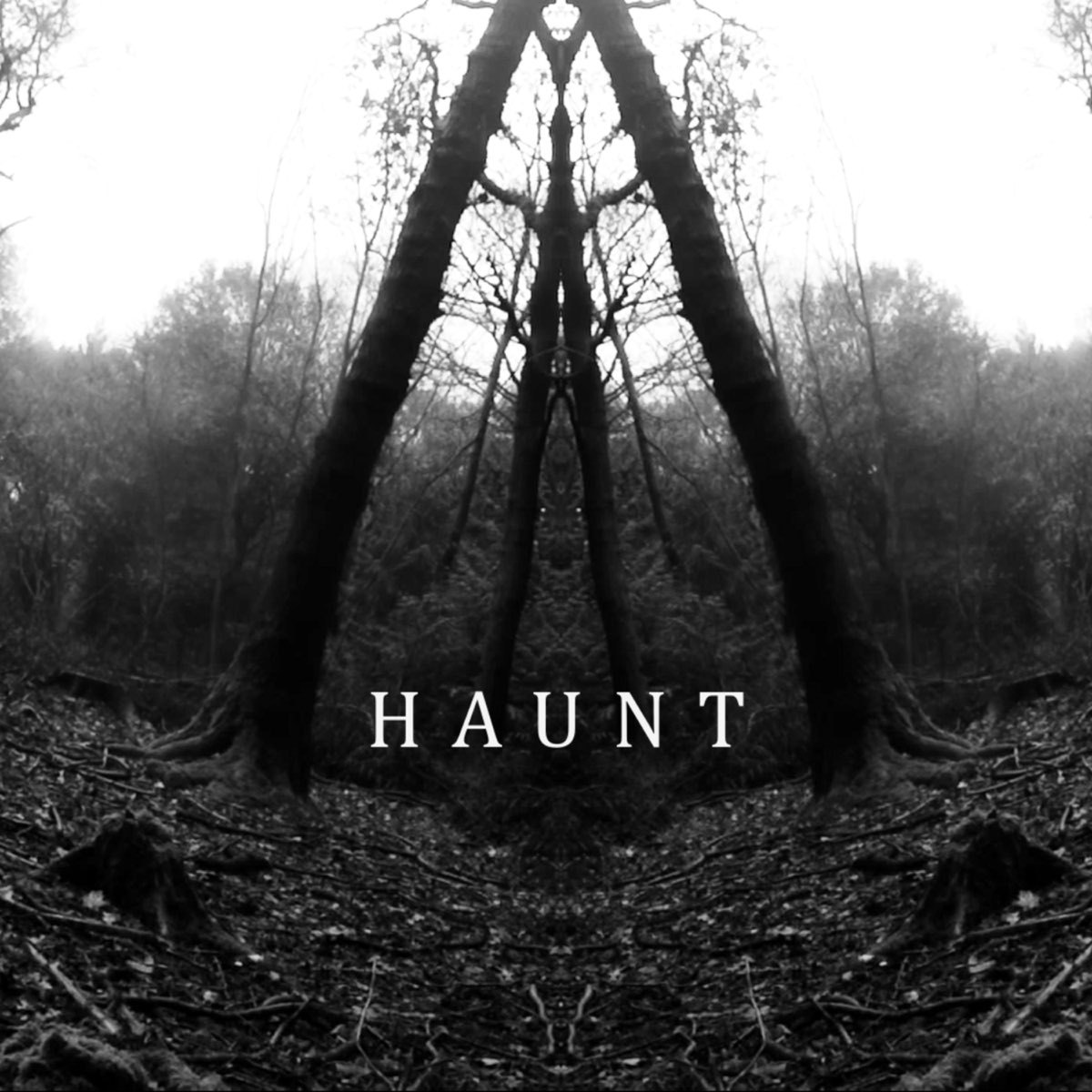 Haunt текст. Bolton s j 