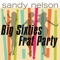 Hanky Panky - Sandy Nelson lyrics