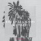 Killing Lotus - Beki Mari & Marc Collin lyrics