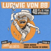 Chuck Norris dans la prairie (si señor) artwork