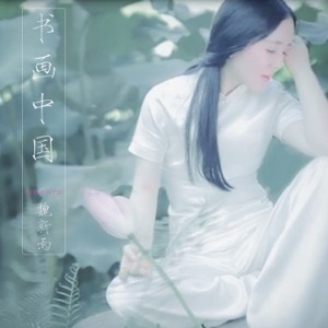 魏新雨 - 最美中国 - Line Dance Musique