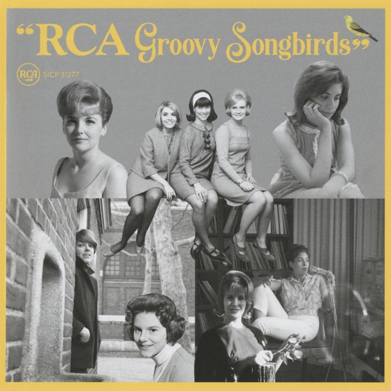 Cover artwork for Summer Sunshine