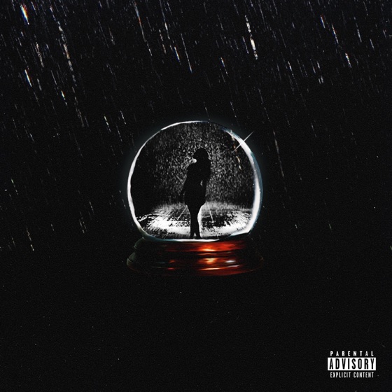 Cover artwork for Fwt