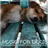 Music for Dogs: Relaxing Piano Music to Calm Your Dog album lyrics, reviews, download
