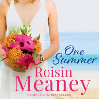 Roisin Meaney - One Summer artwork