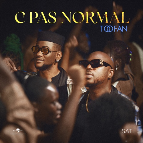 Toofan - C pas normal - Single [iTunes Plus AAC M4A]