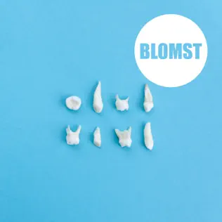 ladda ner album Blomst - Blomst