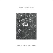 Drew McDowall - Recognition