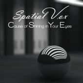Cause of Shining In Your Eyes (Short version) artwork