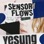 Sensory Flows - The 1st Album