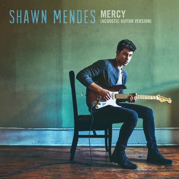 Mercy (Acoustic Guitar) - Single - Shawn Mendes