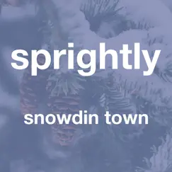 Snowdin Town (From 