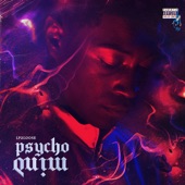 Psycho Mind artwork