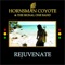 Rejuvenated Dub (feat. Jah Rej) - the Signal One Band & Hornsman Coyote lyrics