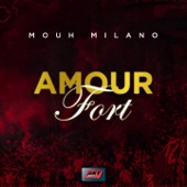 Amour Fort artwork