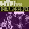 The Humpty Dance by Digital Underground iTunes Track 3