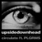 circulate (feat. PLGRMS) - upsidedownhead lyrics