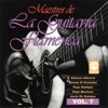 Maestros de la Guitarra Flamenca, Vol. 7