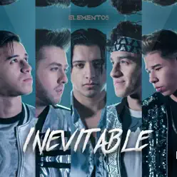 Inevitable - Single - Elemento 5