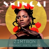 Zimtron (Foremost Poets Mix) - Club Versions - EP artwork