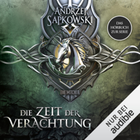 Andrzej Sapkowski - Die Zeit der Verachtung: The Witcher 2 artwork