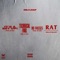 Rat (feat. Baby Money, Babys World & Tay B) - DeJ Loaf lyrics