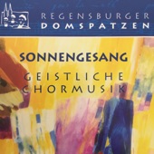 Sonnengesang - Geistliche Chormusik artwork