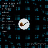 The Feeling of Home (feat. Ambar) [Luca Musto Remix] artwork