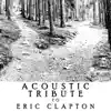 Acoustic Tribute to Eric Clapton (Instrumental) album lyrics, reviews, download