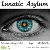 Lunatic Asylum